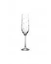 Flutes à champagne (pqt 6) - SPARKLES