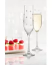 Flutes à champagne (pqt 6) - SPARKLES